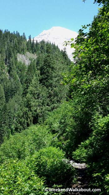 comet-falls-trail-and-mt-rainier