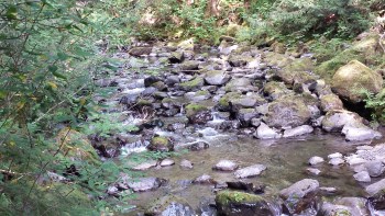 Rocky Brook along the trail to Rocky Brook Falls