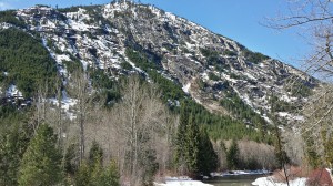 Entiat River Backdrop