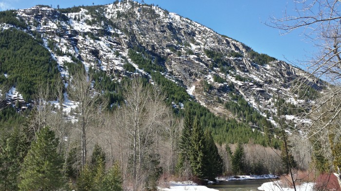 Entiat River Backdrop