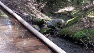 bridge-over-small-creek