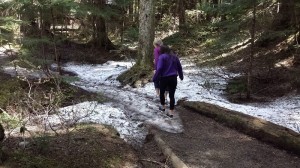 snow-on-trail